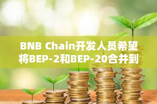 BNB Chain开发人员希望将BEP-2和BEP-20合并到单个区块链中 BNB Chain开发人员希望将BEP-2和BEP-20合并到单个区块链中