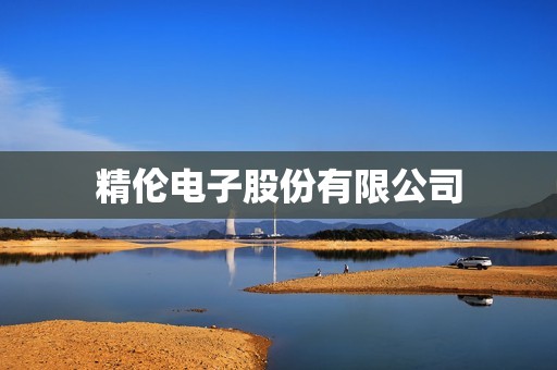 精伦电子股份有限公司