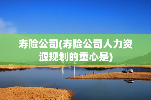 寿险公司(寿险公司人力资源规划的重心是) 寿险公司(寿险公司人力资源规划的重心是)