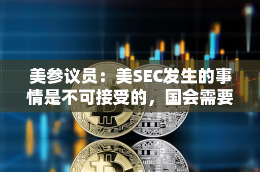美参议员：美SEC发生的事情是不可接受的，国会需要答案
