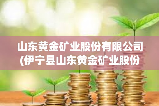 山东黄金矿业股份有限公司(伊宁县山东黄金矿业股份有限公司) 山东黄金矿业股份有限公司(伊宁县山东黄金矿业股份有限公司)