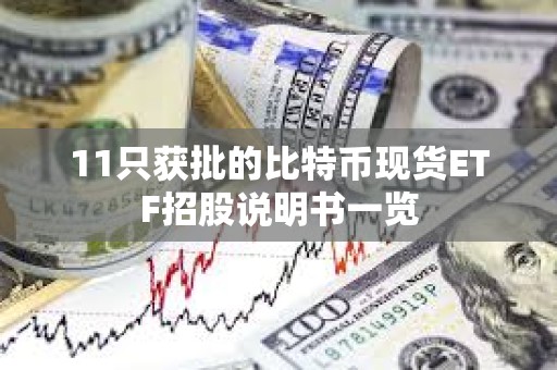 11只获批的比特币现货ETF招股说明书一览