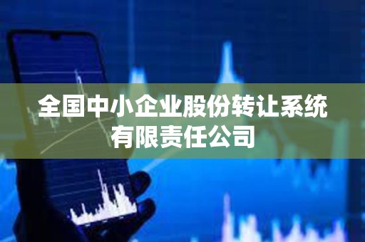 全国中小企业股份转让系统有限责任公司 全国中小企业股份转让系统有限责任公司