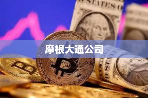 摩根大通公司