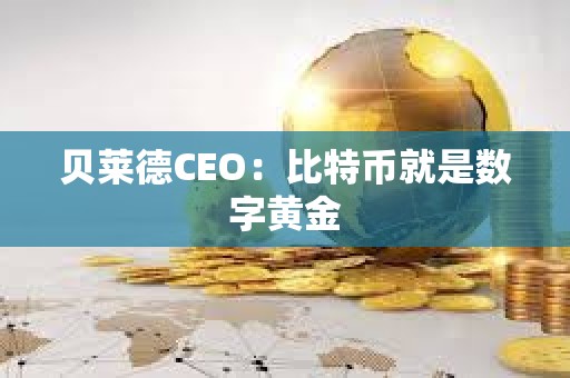 贝莱德CEO：比特币就是数字黄金