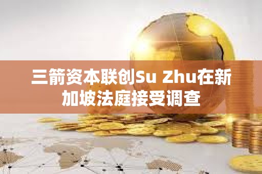 三箭资本联创Su Zhu在新加坡法庭接受调查