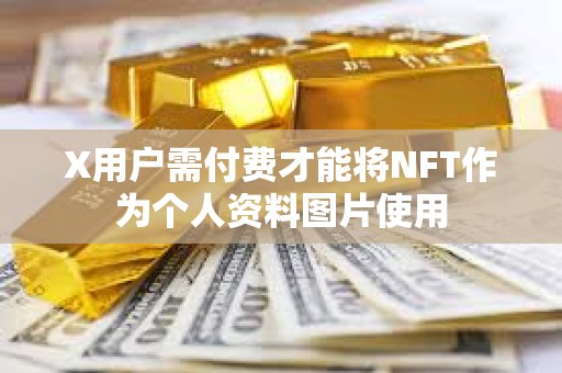 X用户需付费才能将NFT作为个人资料图片使用