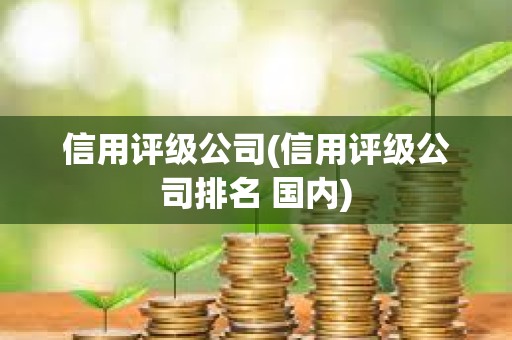 信用评级公司(信用评级公司排名 国内)