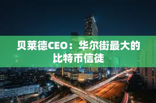 贝莱德CEO：华尔街最大的比特币信徒