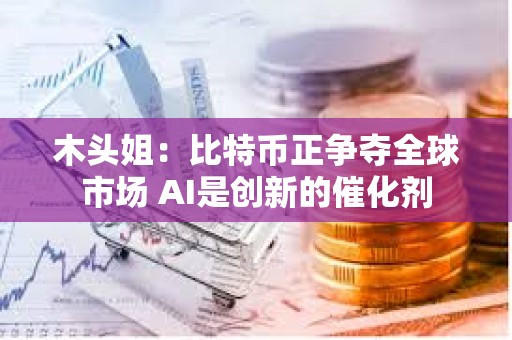 木头姐：比特币正争夺全球市场 AI是创新的催化剂
