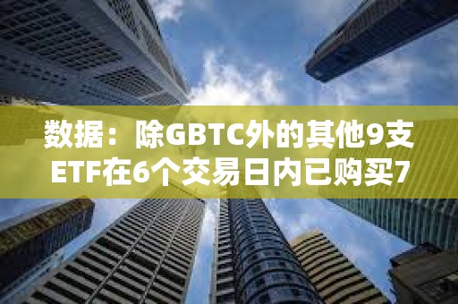 数据：除GBTC外的其他9支ETF在6个交易日内已购买7.96万枚BTC