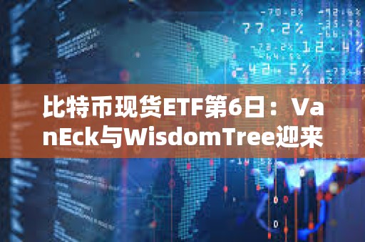 比特币现货ETF第6日：VanEck与WisdomTree迎来获批后流入量最好的一天