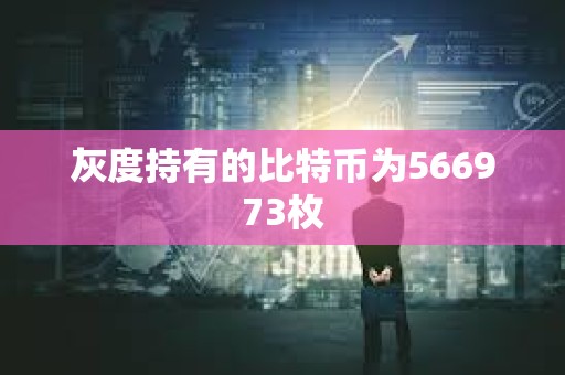 灰度持有的比特币为566973枚