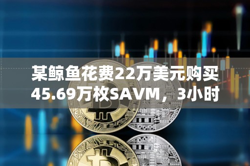 某鲸鱼花费22万美元购买45.69万枚SAVM，3小时内获利100万美元