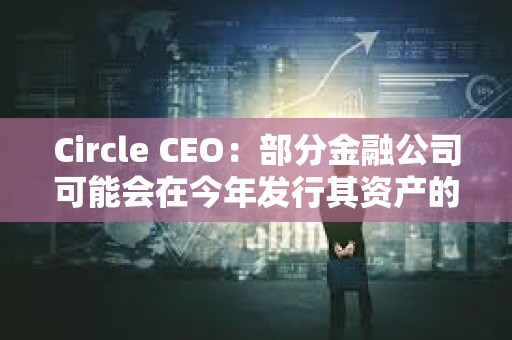 Circle CEO：部分金融公司可能会在今年发行其资产的代币化版本