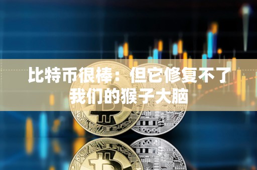 比特币很棒：但它修复不了我们的猴子大脑