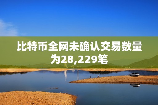 比特币全网未确认交易数量为28,229笔