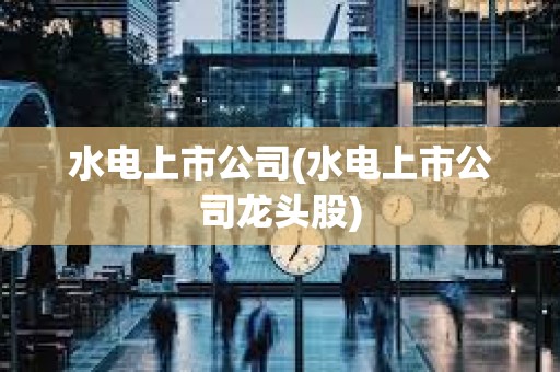 水电上市公司(水电上市公司龙头股)