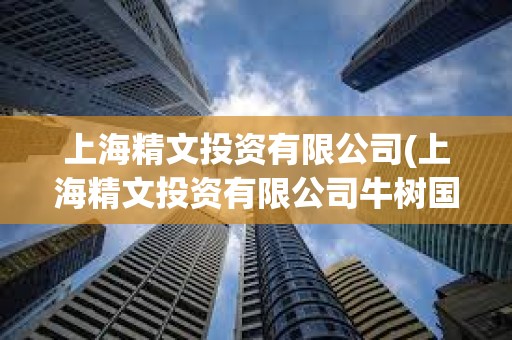 上海精文投资有限公司(上海精文投资有限公司牛树国)