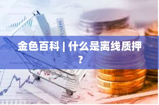 金色百科 | 什么是离线质押？