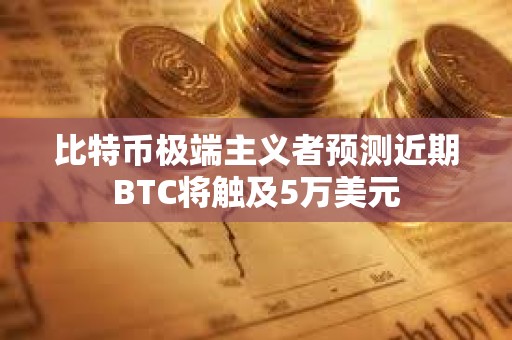 比特币极端主义者预测近期BTC将触及5万美元
