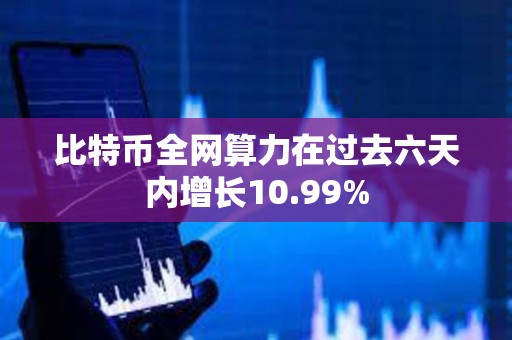 比特币全网算力在过去六天内增长10.99%