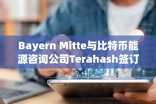 Bayern Mitte与比特币能源咨询公司Terahash签订合作协议