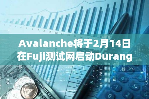 Avalanche将于2月14日在Fuji测试网启动Durango升级