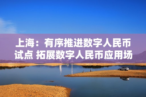 上海：有序推进数字人民币试点 拓展数字人民币应用场景