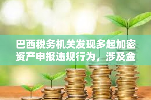 巴西税务机关发现多起加密资产申报违规行为，涉及金额达2.13亿美元
