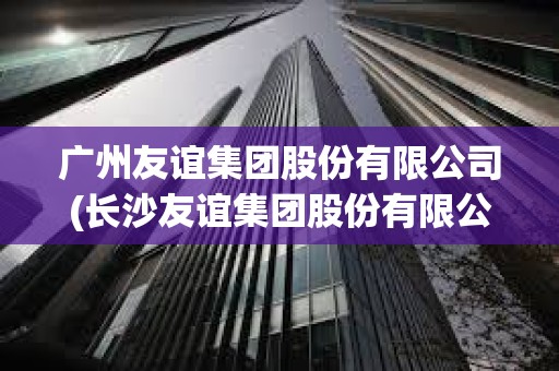 广州友谊集团股份有限公司(长沙友谊集团股份有限公司)