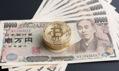 交易所币君,在线币君60网上查询