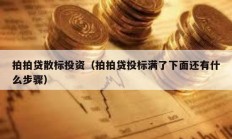 拍拍贷散标投资（拍拍贷投标满了下面还有什么步骤）