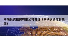 中硕投资担保有限公司电话（中硕投资控股集团）