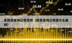 去投资咨询公司怎样（投资咨询公司靠什么盈利）