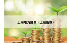上海电力股票（上证指数）