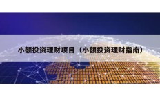 小额投资理财项目（小额投资理财指南）