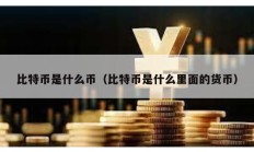 比特币是什么币（比特币是什么里面的货币）