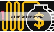 资本投资（资本投资公司排名）