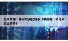 国内从哪一年可以买比特币（中国哪一年可以买比特币）