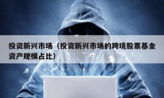 投资新兴市场（投资新兴市场的跨境股票基金资产规模占比）