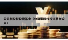 公司制股权投资基金（公司型股权投资基金设立）