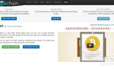 轻量级比特币钱包,比特币在哪买