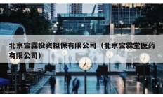 北京宝霖投资担保有限公司（北京宝霖堂医药有限公司）