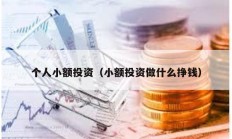 个人小额投资（小额投资做什么挣钱）