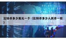 比特币多少美元一个（比特币多少人民币一枚）
