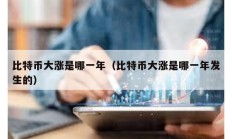 比特币大涨是哪一年（比特币大涨是哪一年发生的）