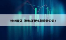 桂林网贷（桂林正规小额贷款公司）