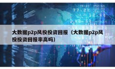 大数据p2p风投投资回报（大数据p2p风投投资回报率高吗）