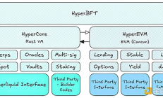 Hyperliquid技术架构、生态板块、数据工具全解析